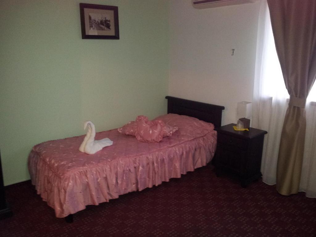 Pension Casa Sibiana スリナ エクステリア 写真